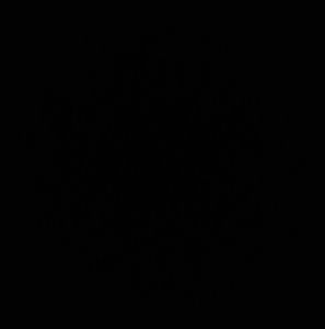 Meet your Posher, Savannah